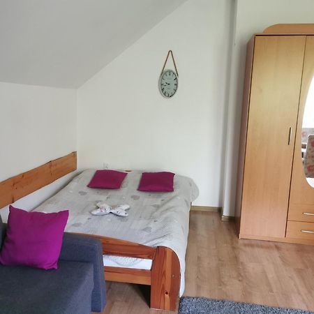 Apartamenty Grosik-bon turystyczny Krynica-Zdrój Pokój zdjęcie