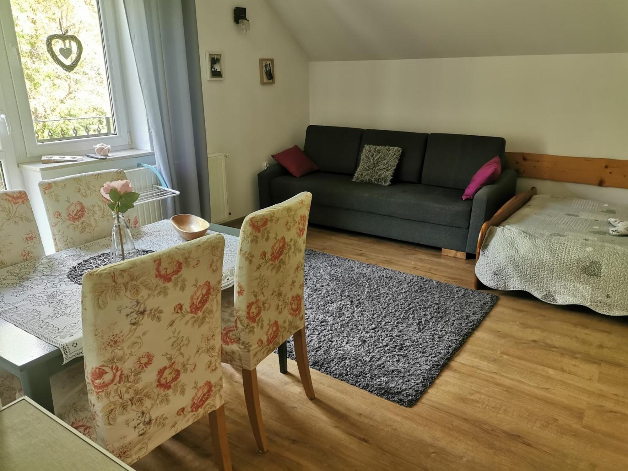 Apartamenty Grosik-bon turystyczny Krynica-Zdrój Pokój zdjęcie